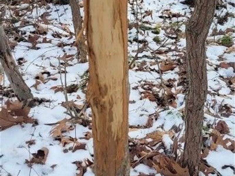 SR 79, Warsaw, OH 43844 Photo 49