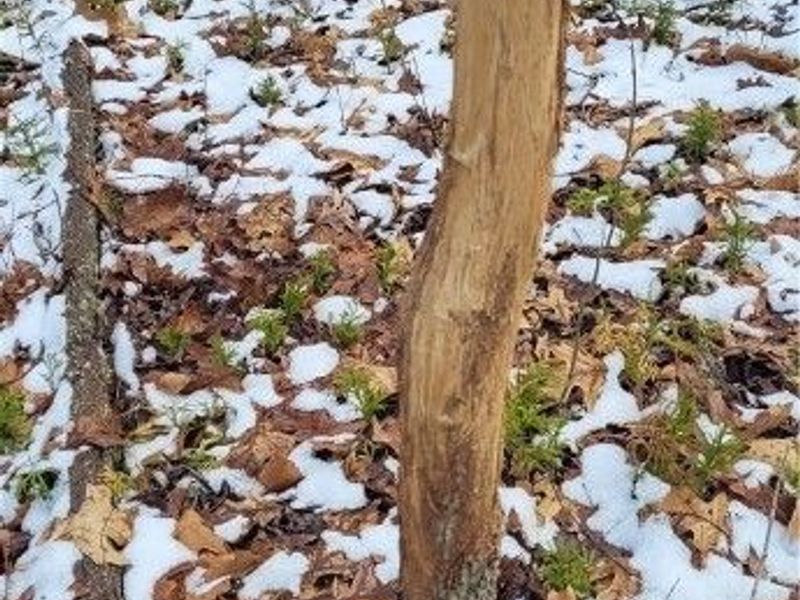 SR 79, Warsaw, OH 43844 Photo 50