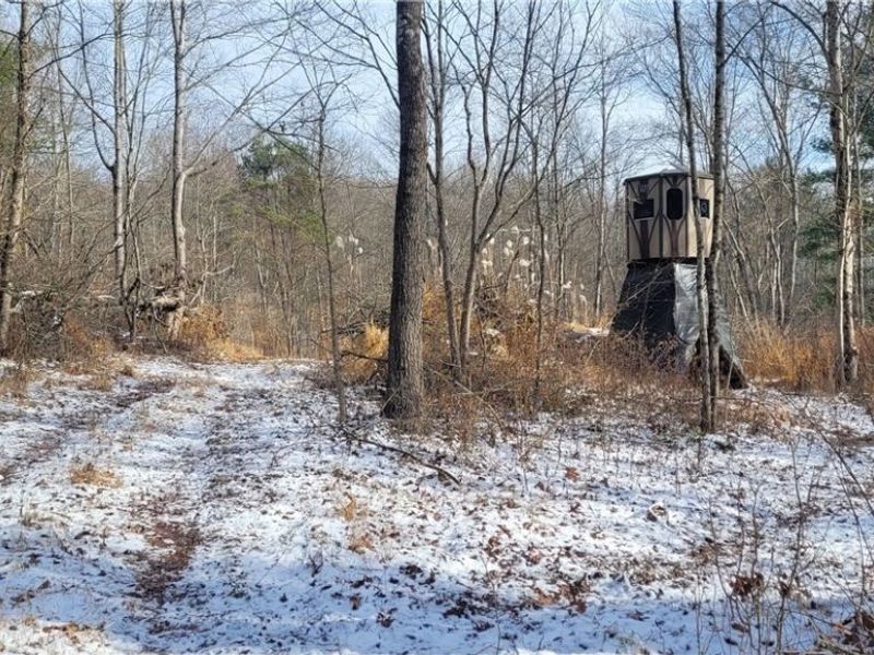 SR 79, Warsaw, OH 43844 Photo 9