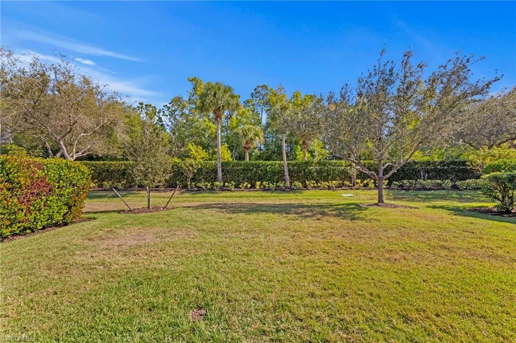 9174 Astonia Way, Estero, FL 33967 Photo