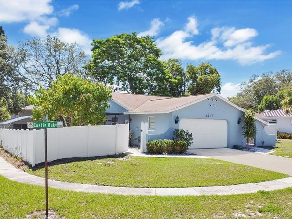 3217 CASTLE OAK AVENUE, ORLANDO, FL 32808