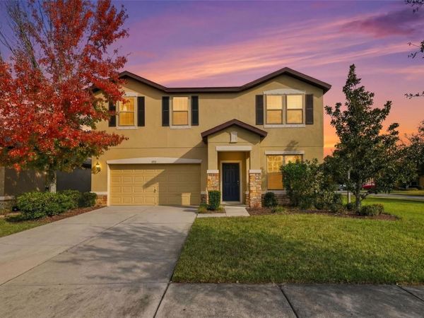 9118 MOUNTAIN MAGNOLIA DRIVE, RIVERVIEW, FL 33578