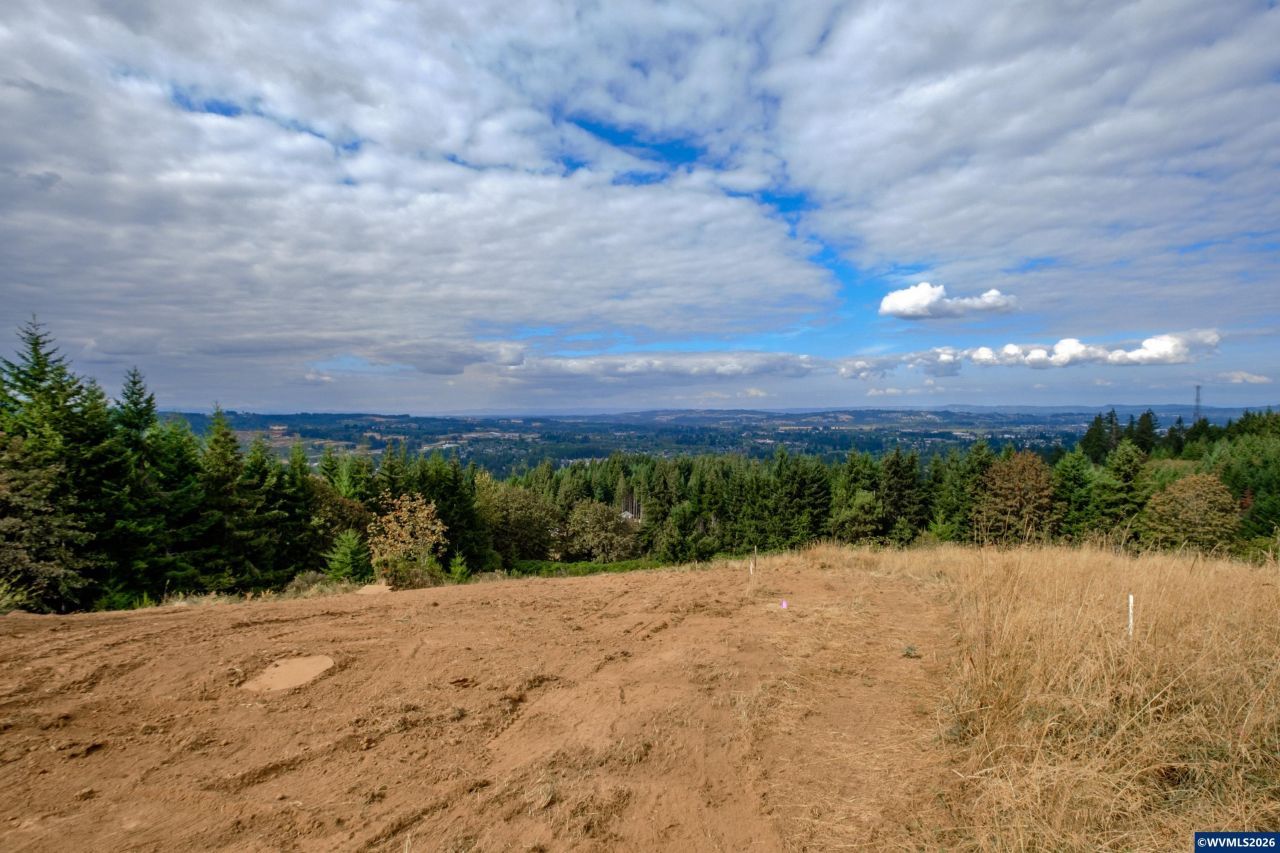 16997 SW Parrett Mountain Rd, Sherwood, OR 97140 Main Photo