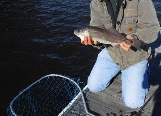 Slip 40 Friendfield Marina  Photo 16