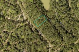 Slip 40 Friendfield Marina  photo 4