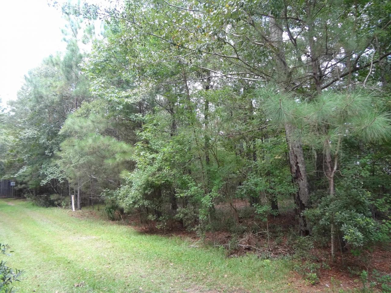 Slip 40 Friendfield Marina  Photo 4