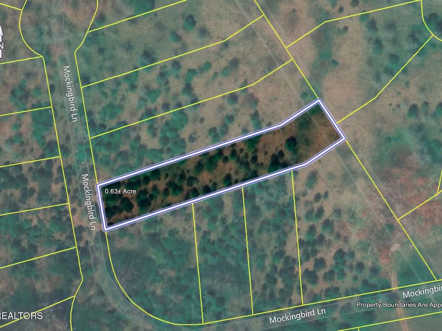Property Image 7