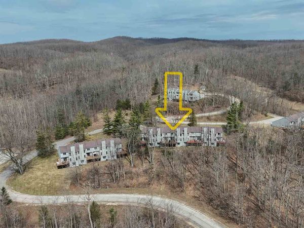 1185 Hideaway Valley Drive, Unit 62, Harbor Springs, MI 49740