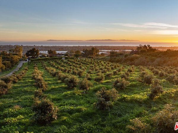 4488 Foothill Road, Carpinteria, CA 93013