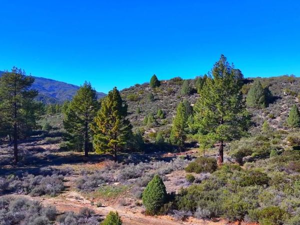 1 Butterfly Peak Road, Mountain Center, CA 92561