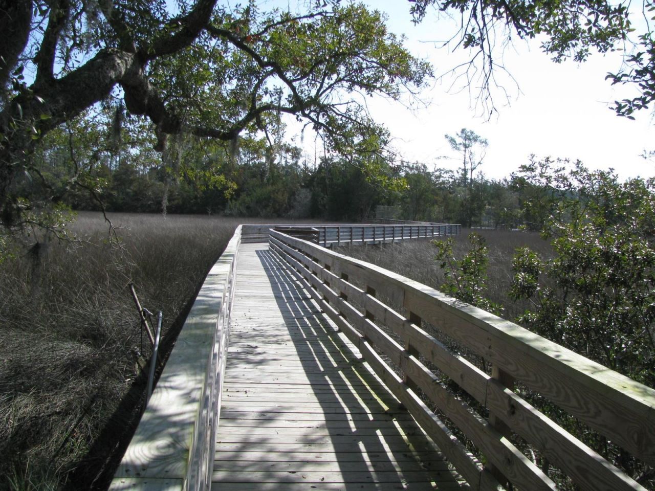 2127 Lexington Circle Photo 41