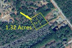 5554 Giddyup Lane photo 4