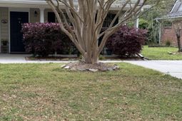 3200 Queensgate Way photo 4