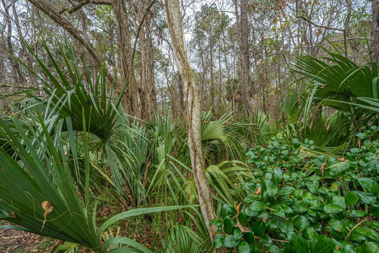 3200 Queensgate Way Photo 22