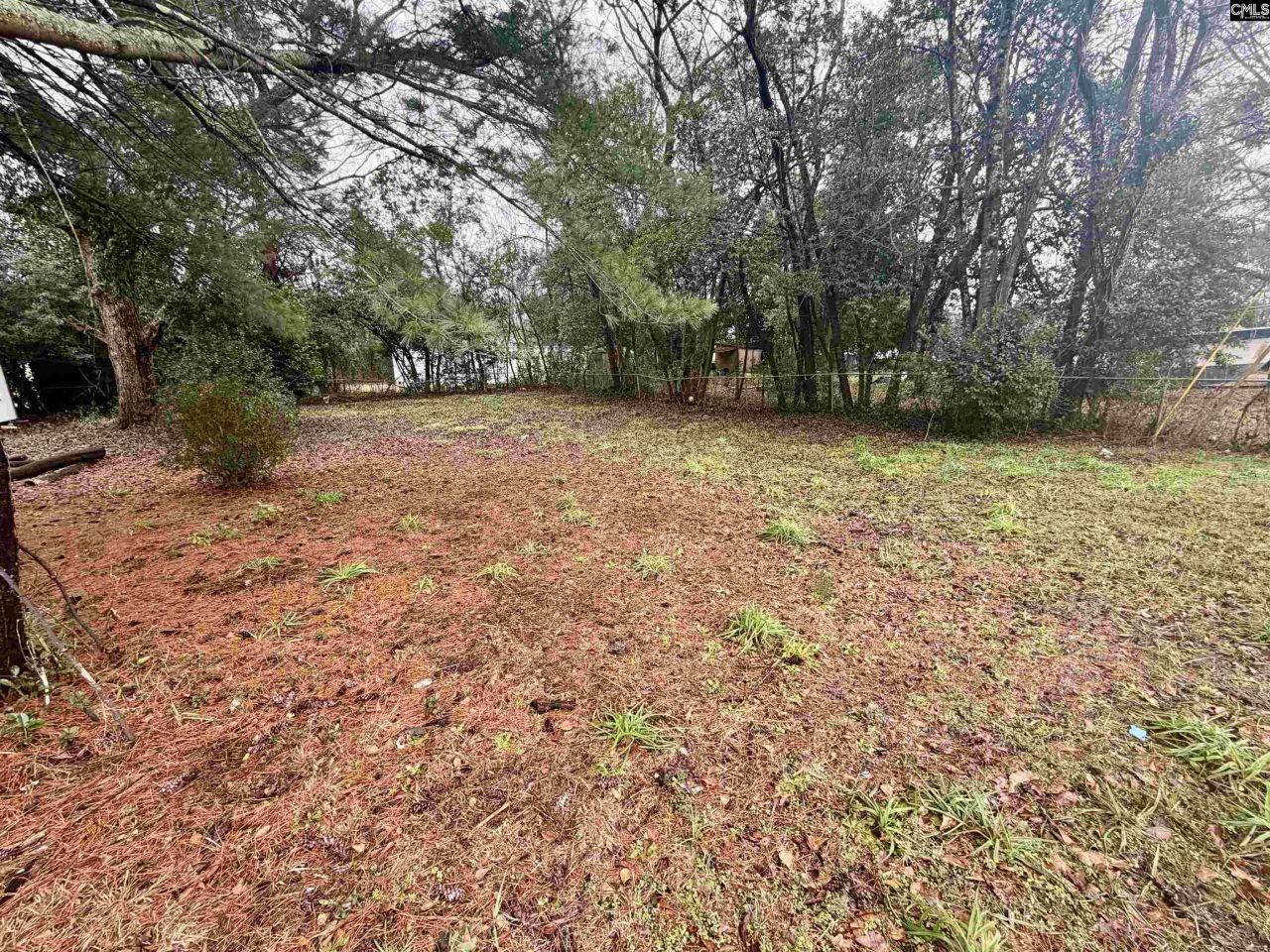 338 Ben Street Photo 4