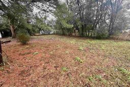 338 Ben Street photo 4