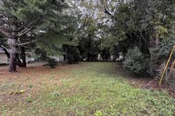 338 Ben Street photo 4