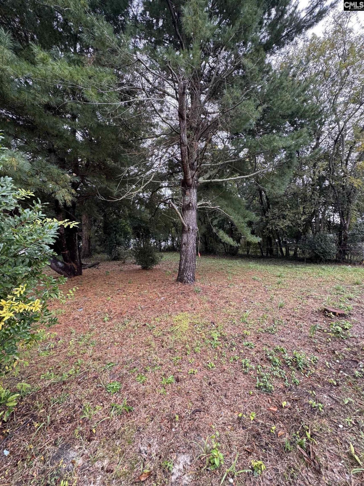 338 Ben Street Photo 6