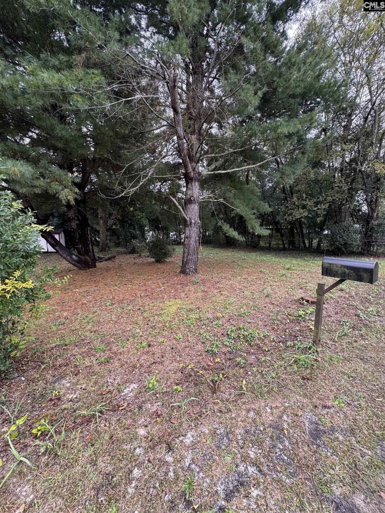 338 Ben Street Photo 8