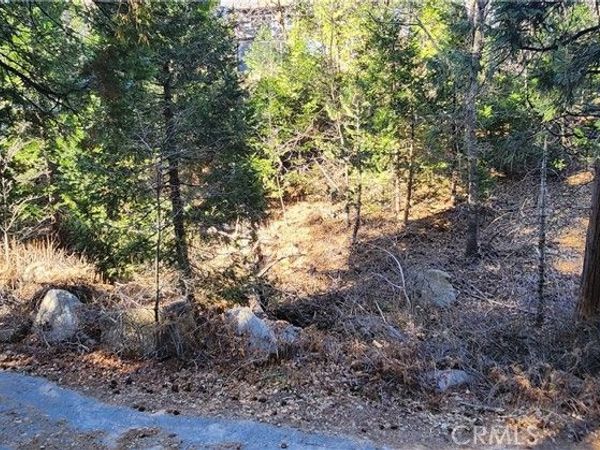 0 MEADOW Drive, Lake Arrowhead, CA 92352