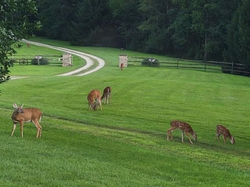 9443 Fallsburg Road NE, Newark, OH 43055 Photo 31