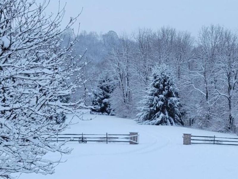 9443 Fallsburg Road NE, Newark, OH 43055 Photo 33