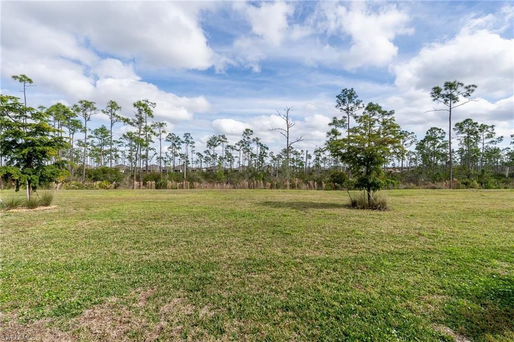 20476 Camino Torcido Loop, North Fort Myers, FL 33917 Photo