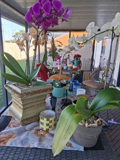 621 SW Stillman Avenue, Port Saint Lucie, FL 34953 Photo