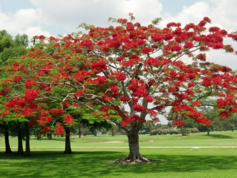 9179 SE Riverfront Terrace, Unit F, Jupiter, FL 33469 Photo