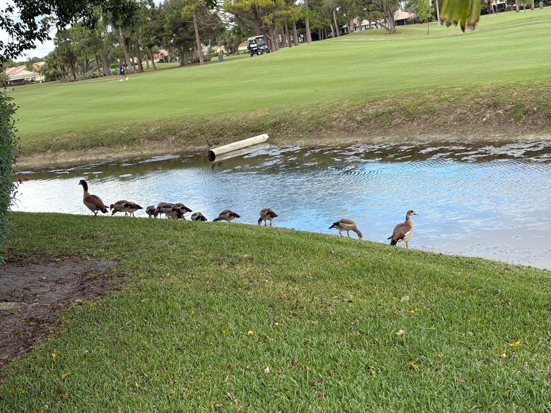 13054 Touchstone Place, Palm Beach Gardens, FL 33418 Photo