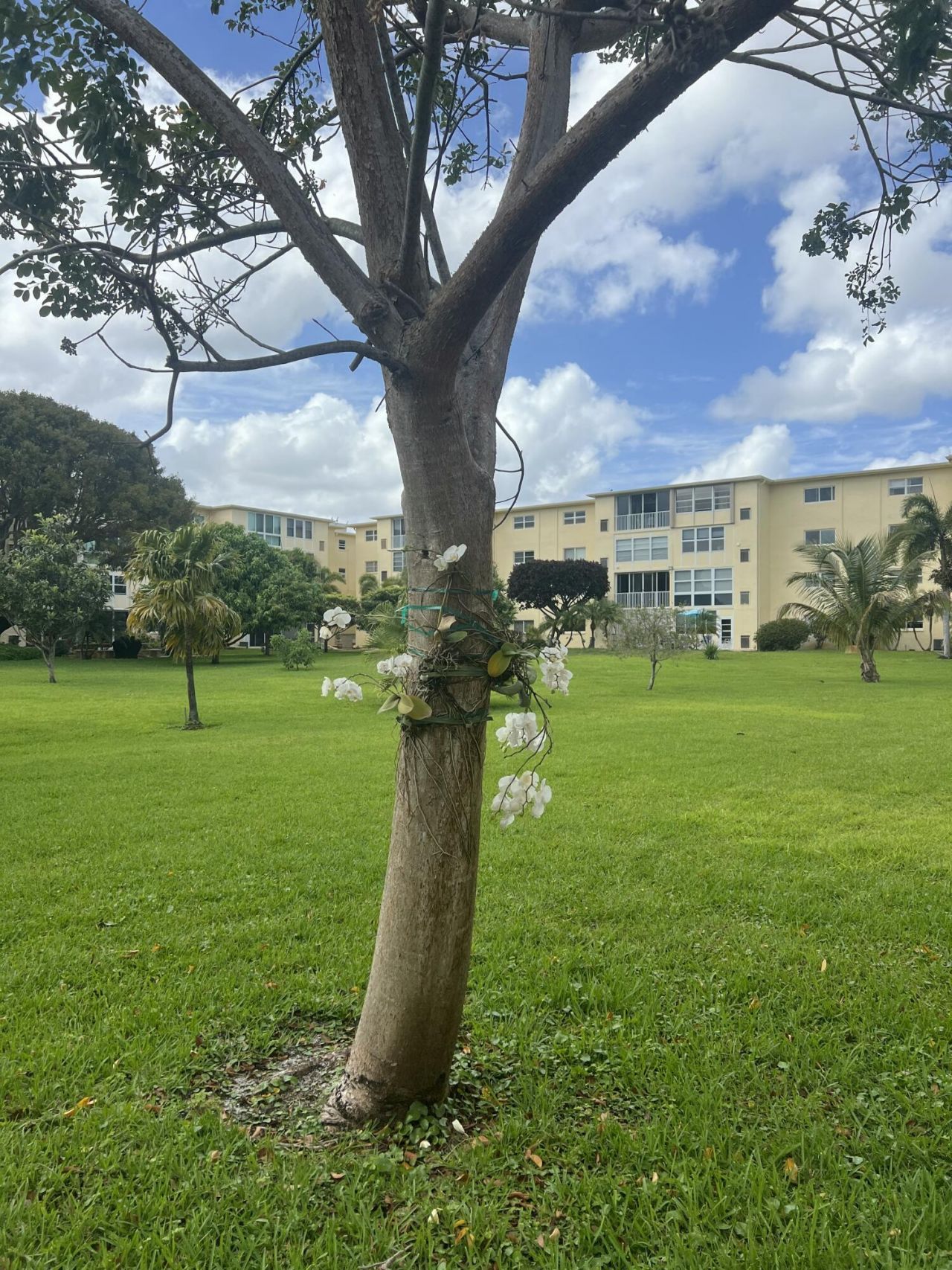 2615 NE 3rd Court, Unit 213, Boynton Beach, FL 33435 Photo