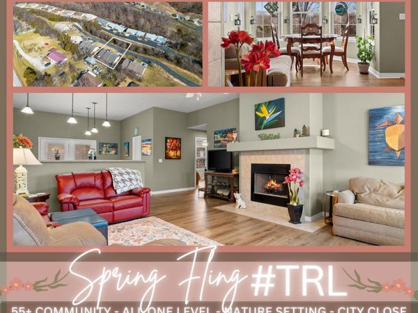 109 Tony Court, Reeds Spring, MO 65737