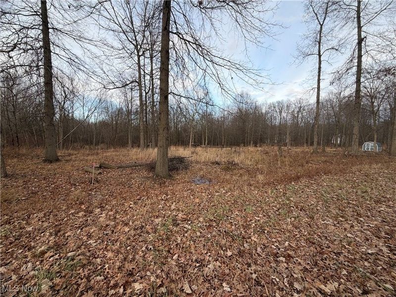 W Nevada Avenue, Sebring, OH 44672 Photo 1