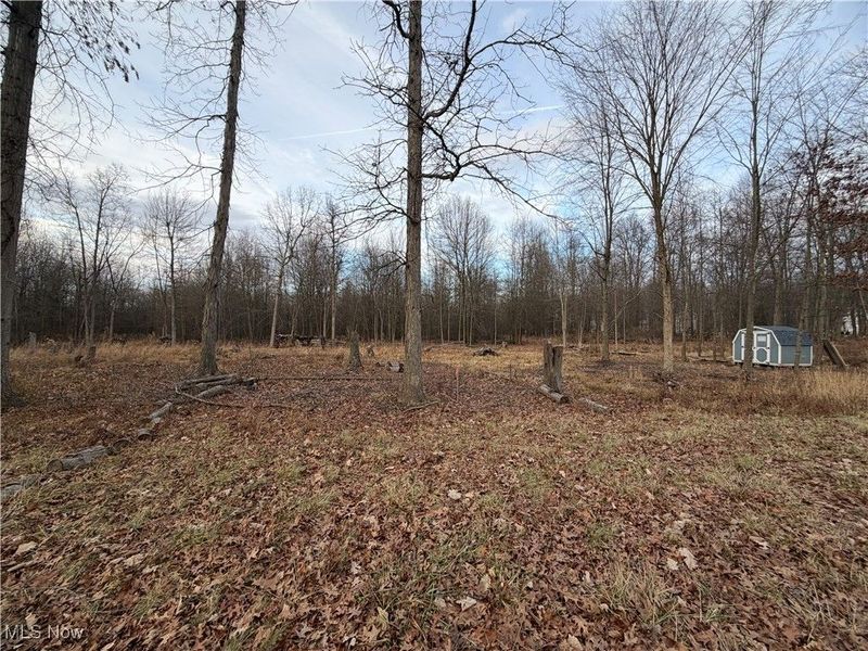 W Nevada Avenue, Sebring, OH 44672 Photo 2