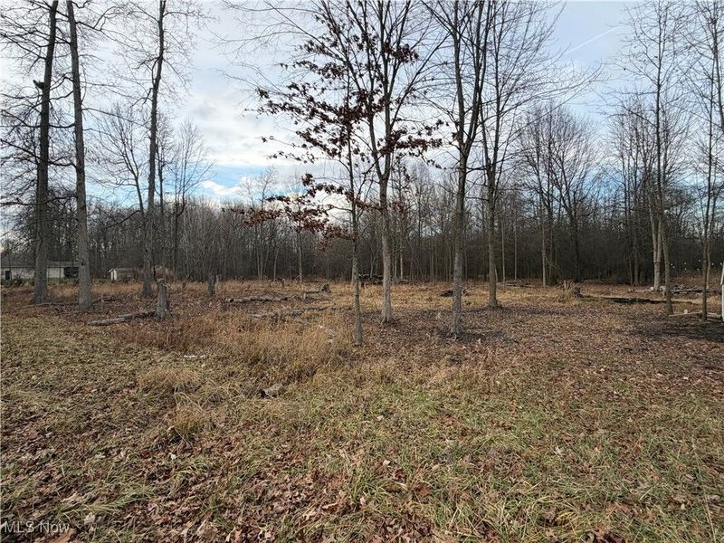 W Nevada Avenue, Sebring, OH 44672 Photo 3