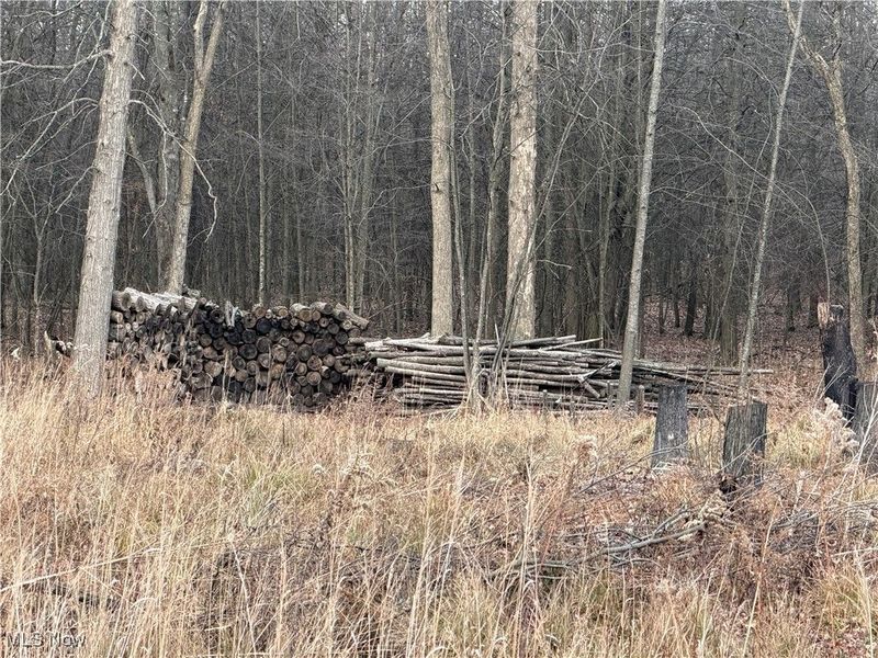 W Nevada Avenue, Sebring, OH 44672 Photo 4