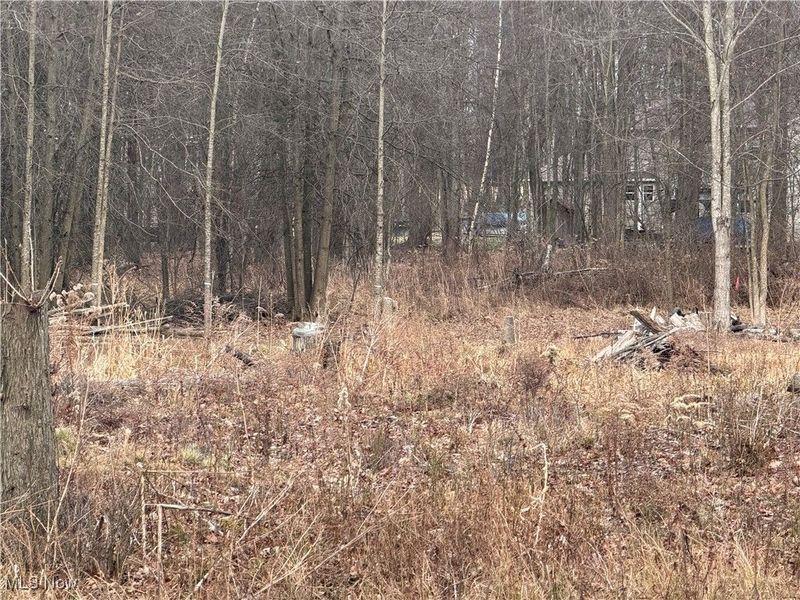 W Nevada Avenue, Sebring, OH 44672 Photo 6