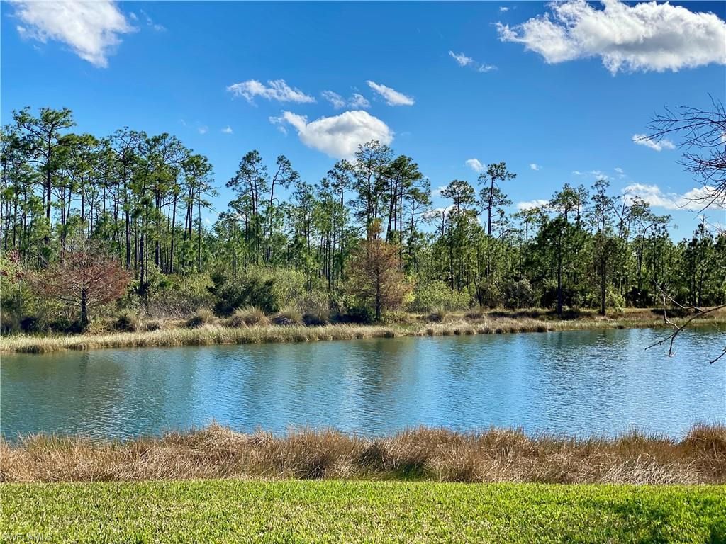 21718 Bella Terra Blvd, Estero, FL 33928 Photo