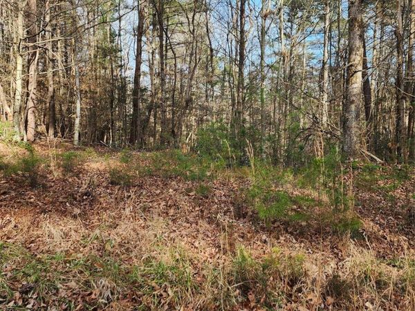 0 Rainbow Trout Drive , Hays, NC 28635