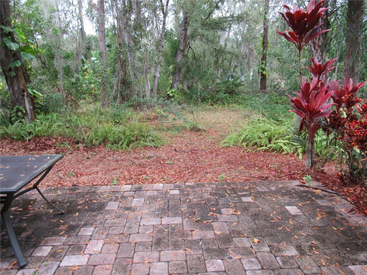 10861 Forest Run Drive, Bradenton, FL 34211 Photo