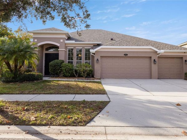 20261 RAVENS END DRIVE, TAMPA, FL 33647