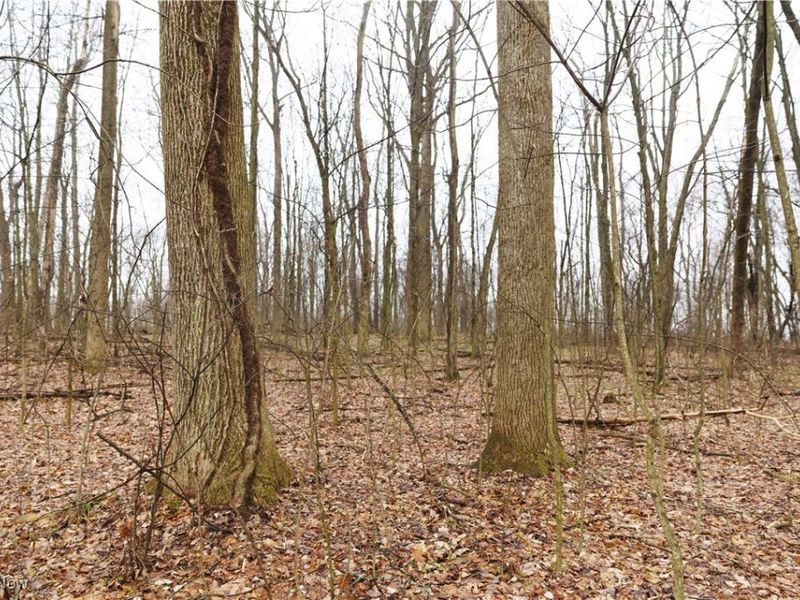 12025 Pleasant Valley Road, Frazeysburg, OH 43822 Photo 15