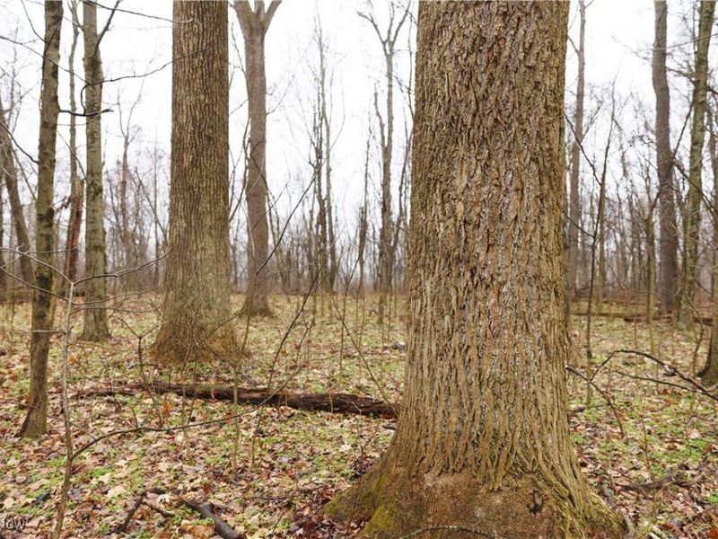 12025 Pleasant Valley Road, Frazeysburg, OH 43822 Photo 17