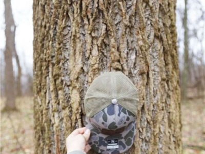 12025 Pleasant Valley Road, Frazeysburg, OH 43822 Photo 18