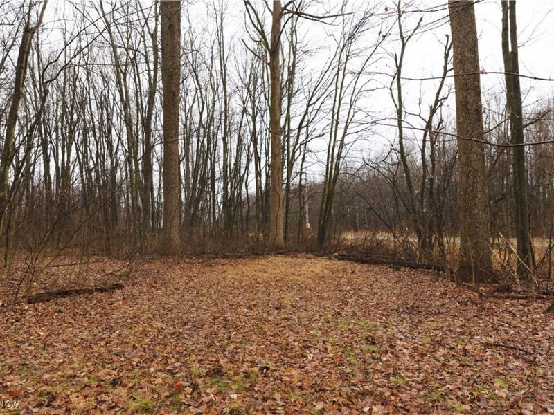 12025 Pleasant Valley Road, Frazeysburg, OH 43822 Photo 22