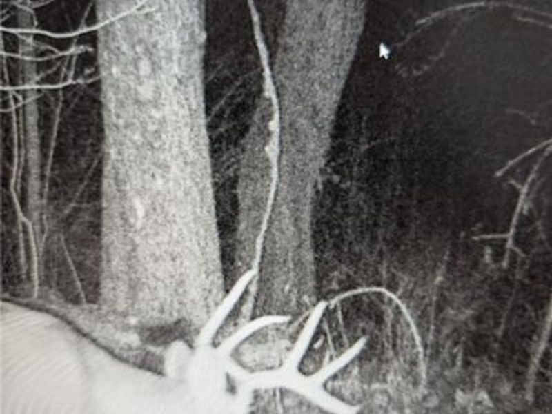 12025 Pleasant Valley Road, Frazeysburg, OH 43822 Photo 26