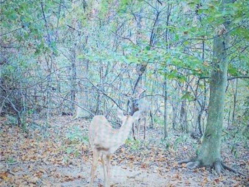 12025 Pleasant Valley Road, Frazeysburg, OH 43822 Photo 29