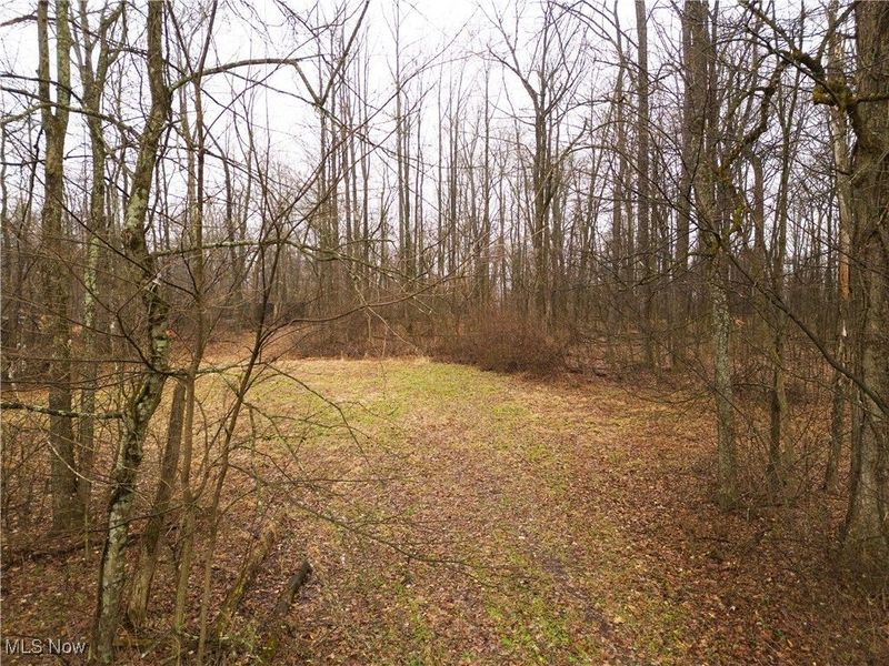 12025 Pleasant Valley Road, Frazeysburg, OH 43822 Photo 3