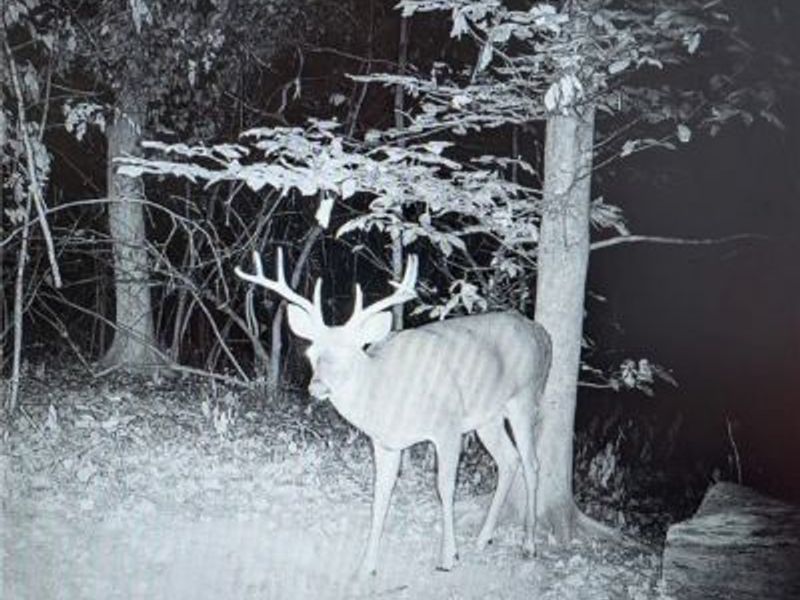 12025 Pleasant Valley Road, Frazeysburg, OH 43822 Photo 30