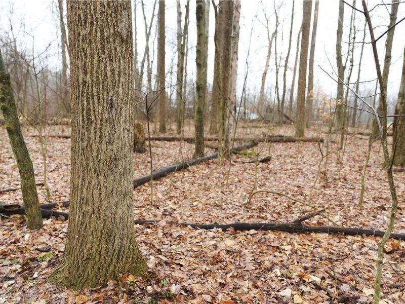 12025 Pleasant Valley Road, Frazeysburg, OH 43822 Photo 6